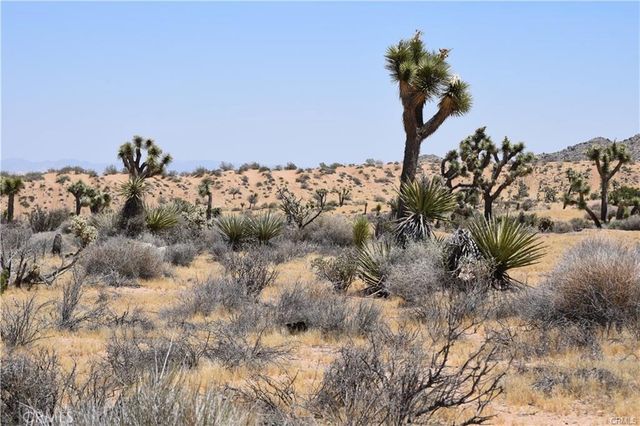 0 Palomar, Yucca Valley, CA 89121