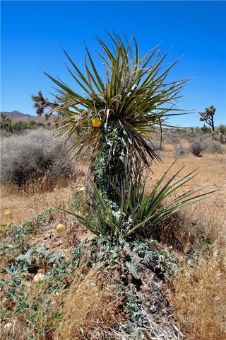 0 Palomar, Yucca Valley, CA 89121