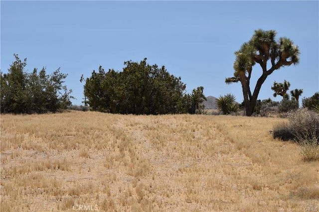 0 Palomar, Yucca Valley, CA 89121