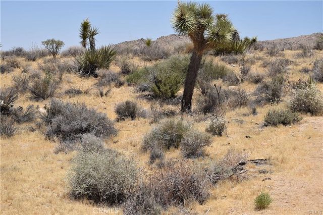 0 Palomar, Yucca Valley, CA 89121