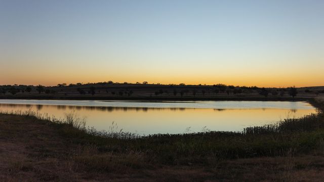 166 Pecan Lane, Rhome, TX 76078