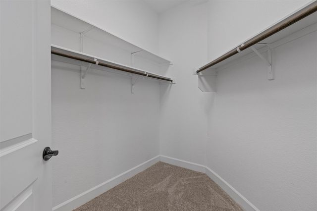 505 Flying Orchid DR, San Marcos, TX 78666