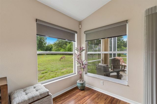 20942 SUNSWEET COURT, Land O Lakes, FL 34637