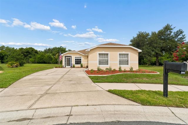 20942 SUNSWEET COURT, Land O Lakes, FL 34637