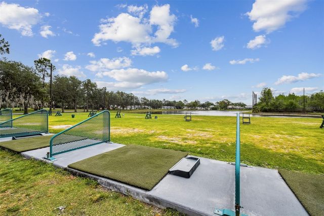 20942 SUNSWEET COURT, Land O Lakes, FL 34637