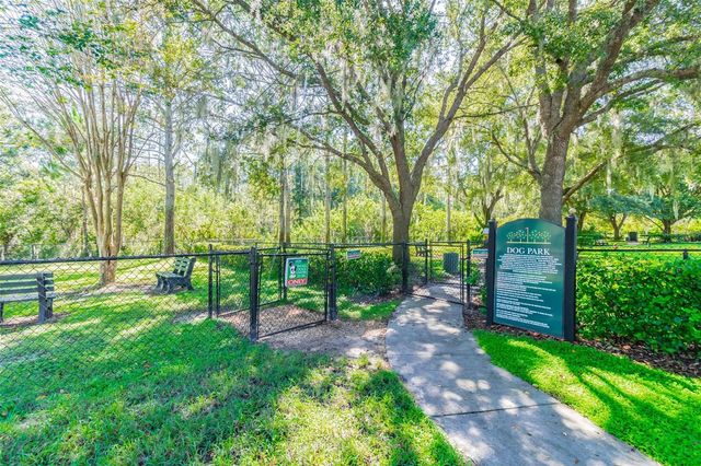 20942 SUNSWEET COURT, Land O Lakes, FL 34637