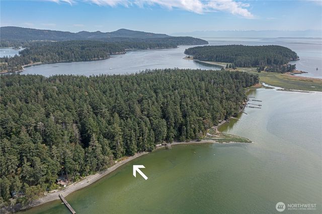 16 Driftwood Drive, Henry Island, WA 98250