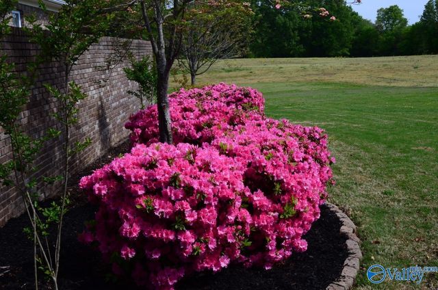 12820 Saint Andrews Drive, Athens, AL 35611