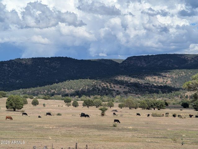 47966 N AZ HIGHWAY 288 --, Young, AZ 85554