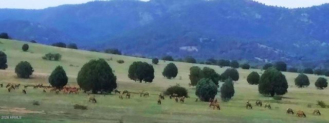 47966 N AZ HIGHWAY 288 --, Young, AZ 85554