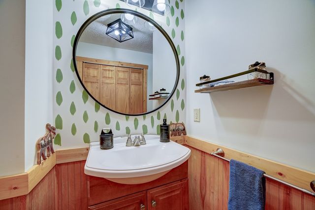 46 Pelican Drive, Ellijay, GA 30540