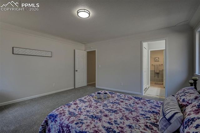 15049 La Jolla Place, Colorado Springs, CO 80921