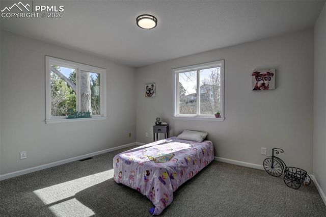 15049 La Jolla Place, Colorado Springs, CO 80921