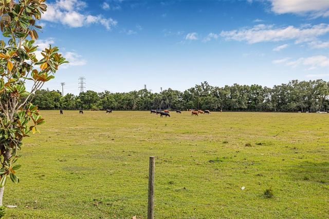 5429 COMPANION LANE, Tampa, FL 33619