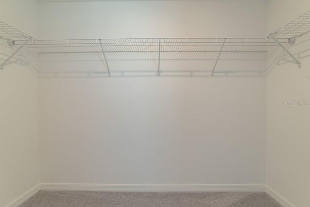 10173 HONEY HAMMOCK WAY, San Antonio, FL 33576