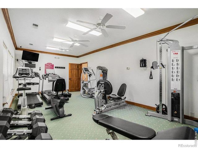 5620 Fossil Creek Parkway 10204, Fort Collins, CO 80525