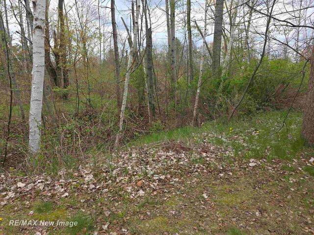 7469 Highland Drive, Moffatt Twp, MI 48610
