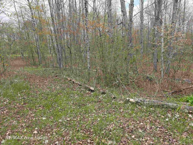7469 Highland Drive, Moffatt Twp, MI 48610