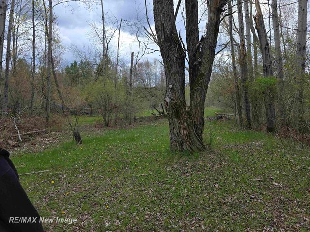 7469 Highland Drive, Moffatt Twp, MI 48610