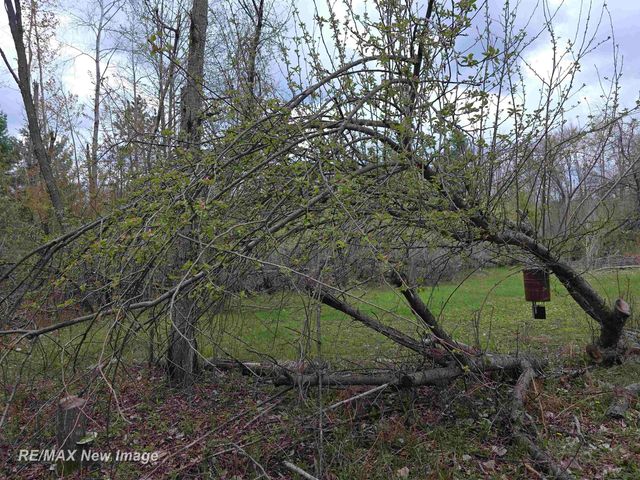 7469 Highland Drive, Moffatt Twp, MI 48610