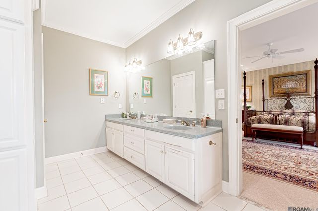 14197 Audubon Trace Ln, St Francisville, LA 70775
