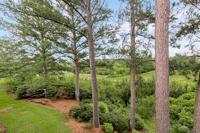 14197 Audubon Trace Ln, St Francisville, LA 70775