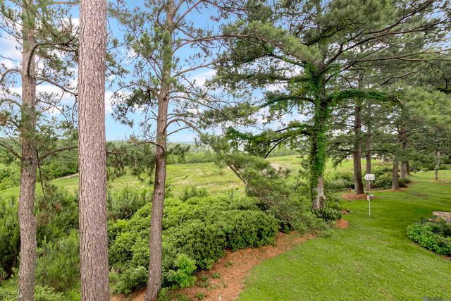 14197 Audubon Trace Ln, St Francisville, LA 70775