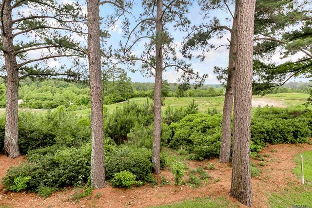 14197 Audubon Trace Ln, St Francisville, LA 70775