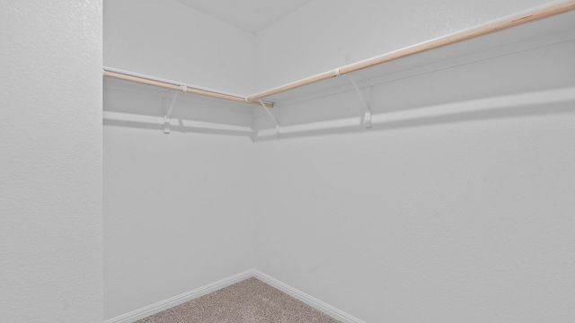 610 Globe Mallow CIR, Kyle, TX 78640