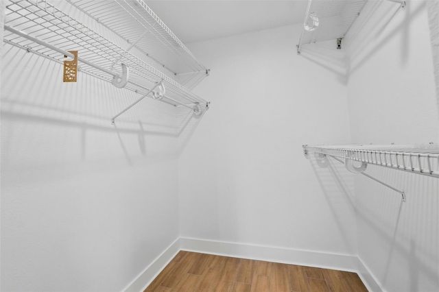 2687 SABAL SPRINGS CIRCLE 104, Clearwater, FL 33761