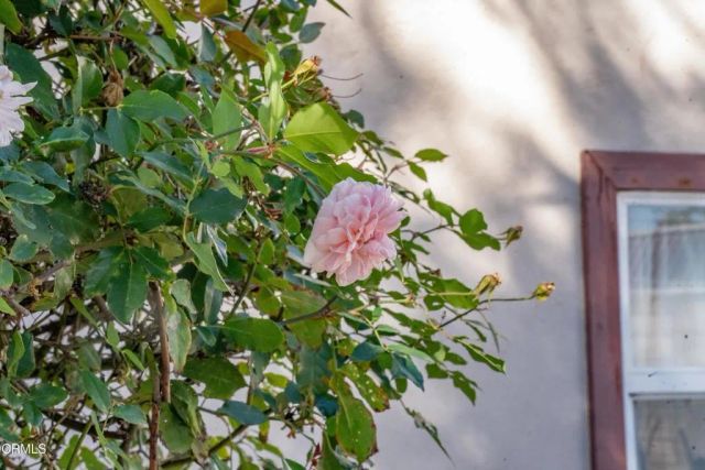 550 S G Street, Oxnard, CA 93030