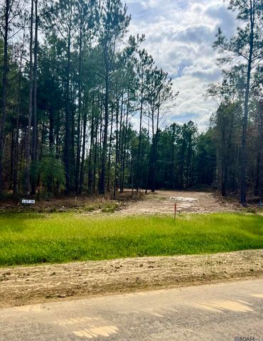 Lot 2 Honey Grove, Livingston, LA 70754