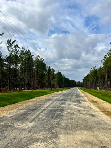 Lot 2 Honey Grove, Livingston, LA 70754