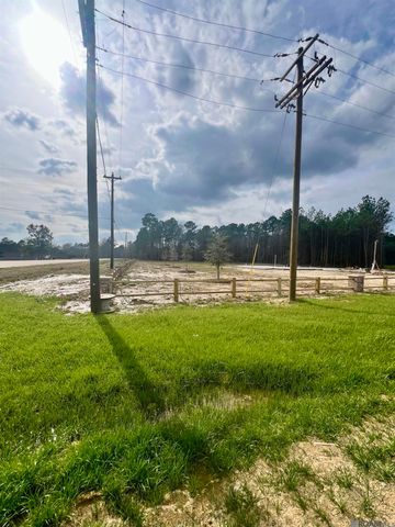 Lot 2 Honey Grove, Livingston, LA 70754