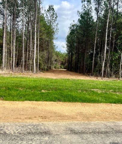 Lot 2 Honey Grove, Livingston, LA 70754