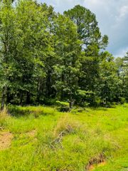 Lot 46 Primrose Creek, Heber Springs, AR 72543