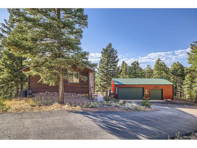 25 Amanda Cir, Florissant, CO 80816