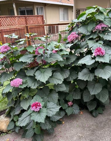 43 Aspen Meadows Cir, Santa Rosa, CA 95409