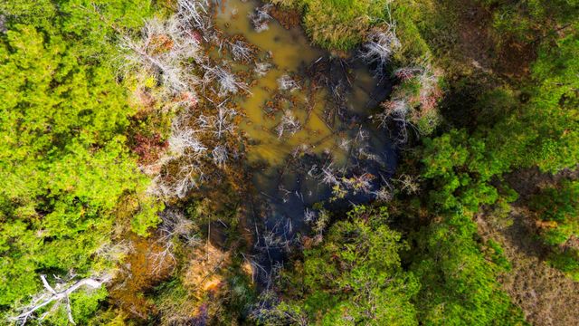 5481 Us Highway 190 W, Livingston, TX 77351