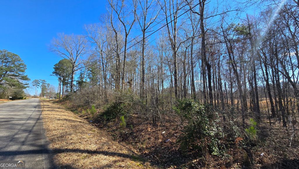 1108 Spring Creek Circle, Griffin, GA 30223 — photo 4