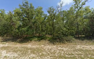 Tbd SW 72nd Circle, Dunnellon, FL 34432