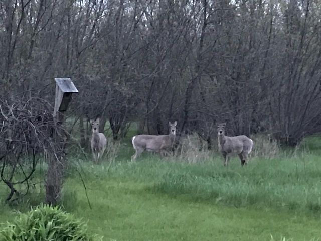 S38W31902 Wern WAY, Waukesha, WI 53189