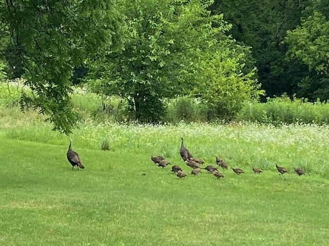 S38W31902 Wern WAY, Waukesha, WI 53189