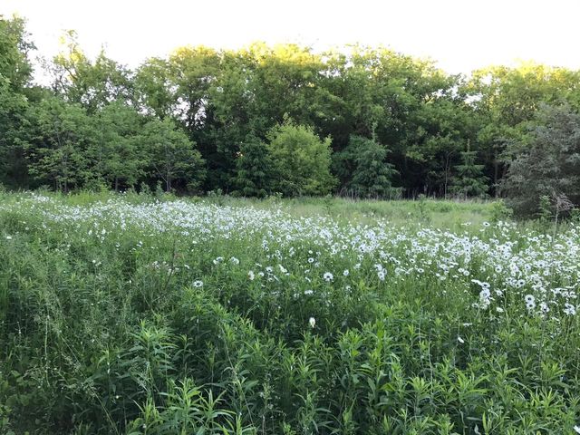 S38W31902 Wern WAY, Waukesha, WI 53189