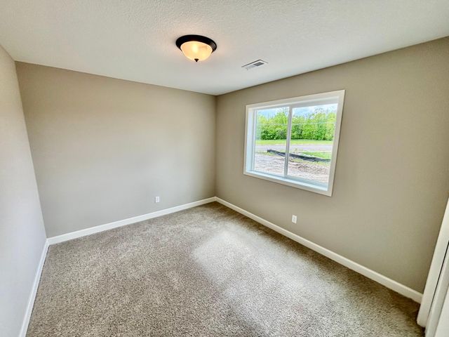 807 Walnut Grove Lane, Hanover, MN 55341