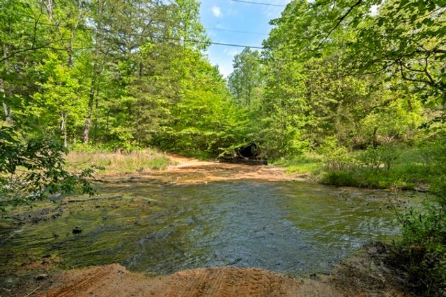 1240 Tanner Hollow Rd, Centerville, TN 37033