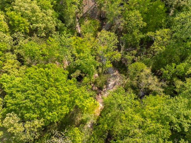 1240 Tanner Hollow Rd, Centerville, TN 37033