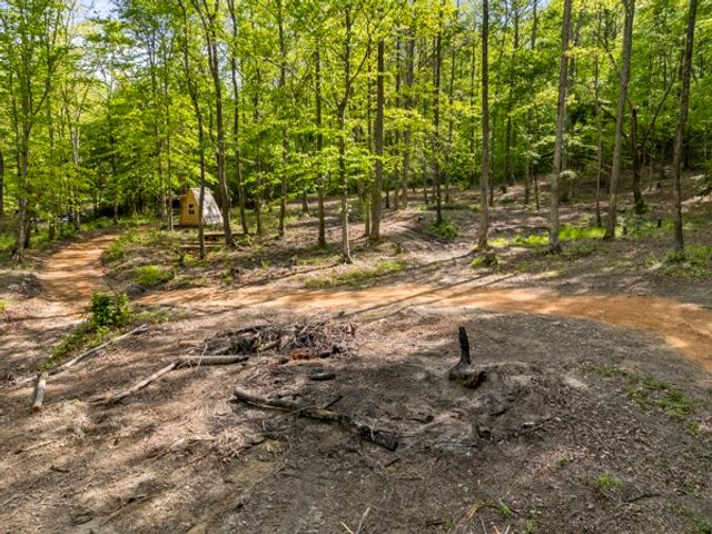 1240 Tanner Hollow Rd, Centerville, TN 37033