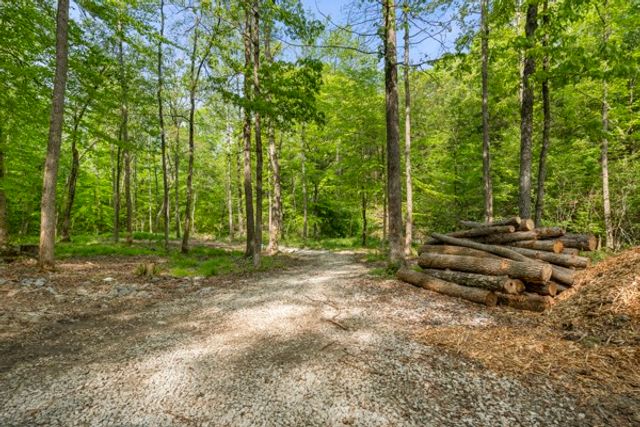 1240 Tanner Hollow Rd, Centerville, TN 37033