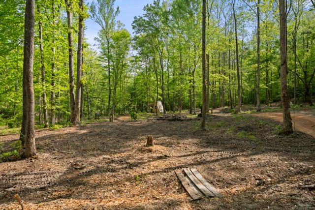 1240 Tanner Hollow Rd, Centerville, TN 37033